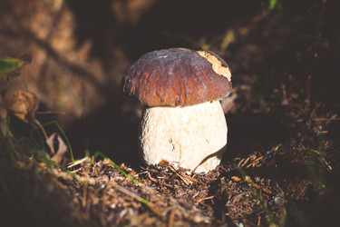 Similar image 13176962