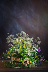 Similar image 13177476