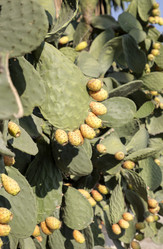 Similar image 13173552