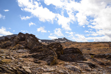 Similar image 13176973