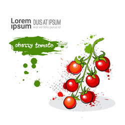 Similar image 13181646