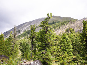 Similar image 13178589