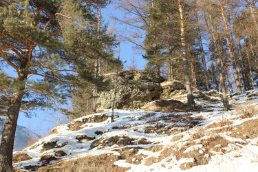 Similar image 13178690