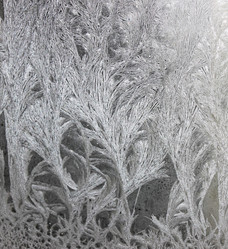 Similar image 13178691