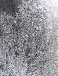 Similar image 13178692