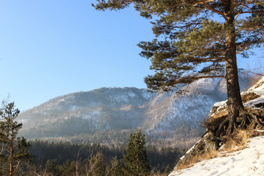 Similar image 13178913