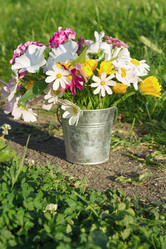 Similar image 13177364