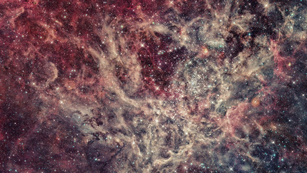 Similar image 13178991