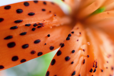 Similar image 13177368