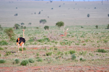 Similar image 13177377