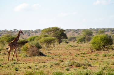 Similar image 13177378