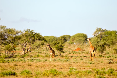 Similar image 13177379