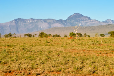 Similar image 13177382