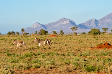 Similar image 13177384