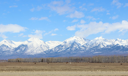 Similar image 13179139