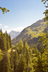 Similar image 13177392