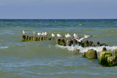 Similar image 13186014