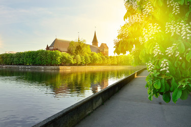 Similar image 13188609