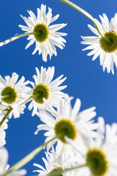 Similar image 13178898