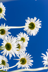 Similar image 13178899