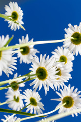 Similar image 13178900