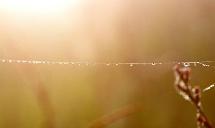 Similar image 13179240