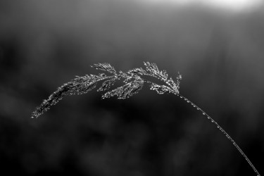 Similar image 13179241