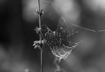 Similar image 13179242