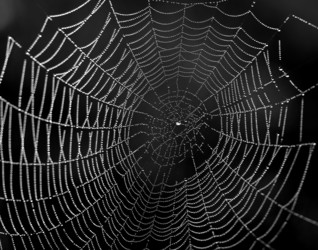 Similar image 13179259