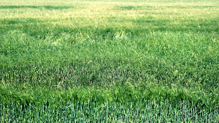 Similar image 13179265