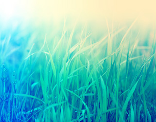 Similar image 13179270