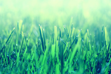 Similar image 13179271