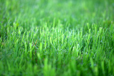 Similar image 13179272