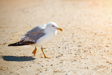 Similar image 13177477