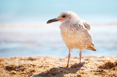 Similar image 13177479