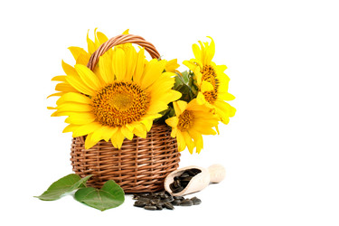 Similar image 13177486