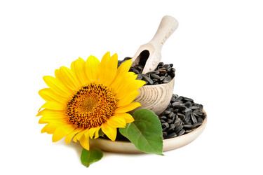 Similar image 13177495