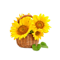 Similar image 13177501