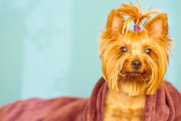 Similar image 13184620