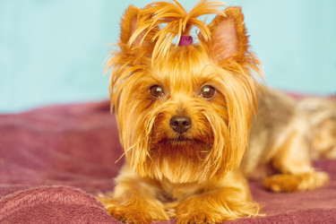 Similar image 13184637