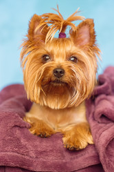 Similar image 13184639