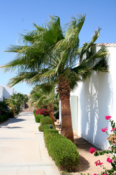 Similar image 13184960