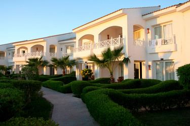 Similar image 13184962