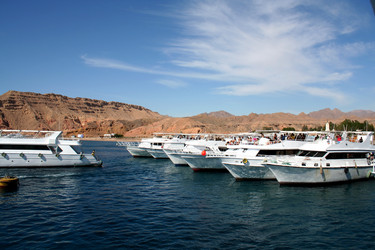 Similar image 13184963