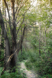 Similar image 13184559