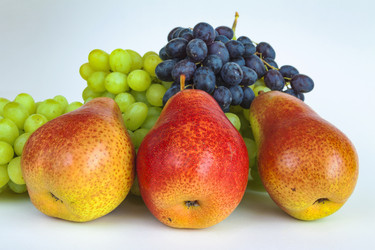 Similar image 13184560