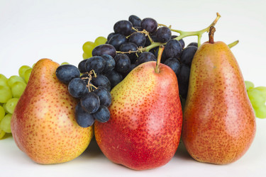 Similar image 13184561