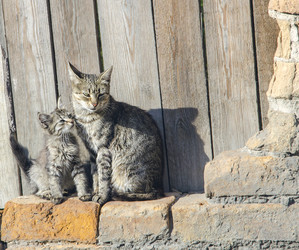 Similar image 13182566