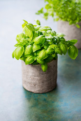 Similar image 13188622