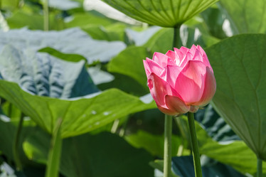 Similar image 13179179